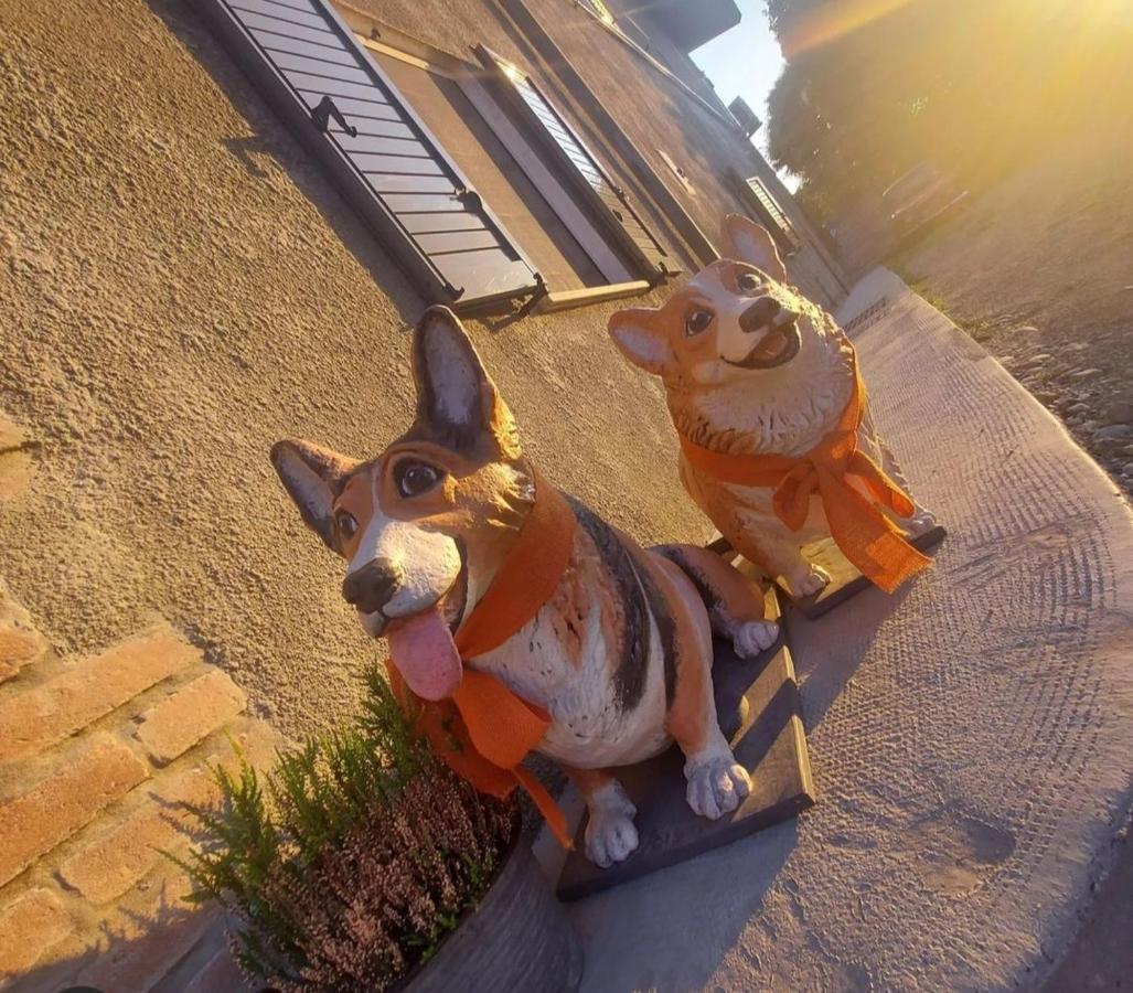 לינה וארוחת בוקר Moncrivello La Tana Dei Corgi מראה חיצוני תמונה